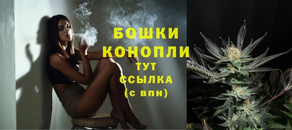 СК Горнозаводск